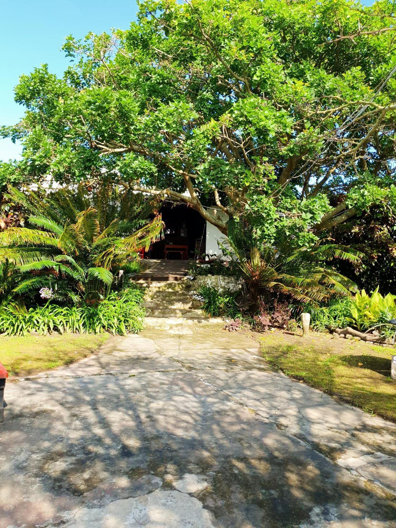Sunset Bed And Breakfast Coffee Bay Exteriör bild